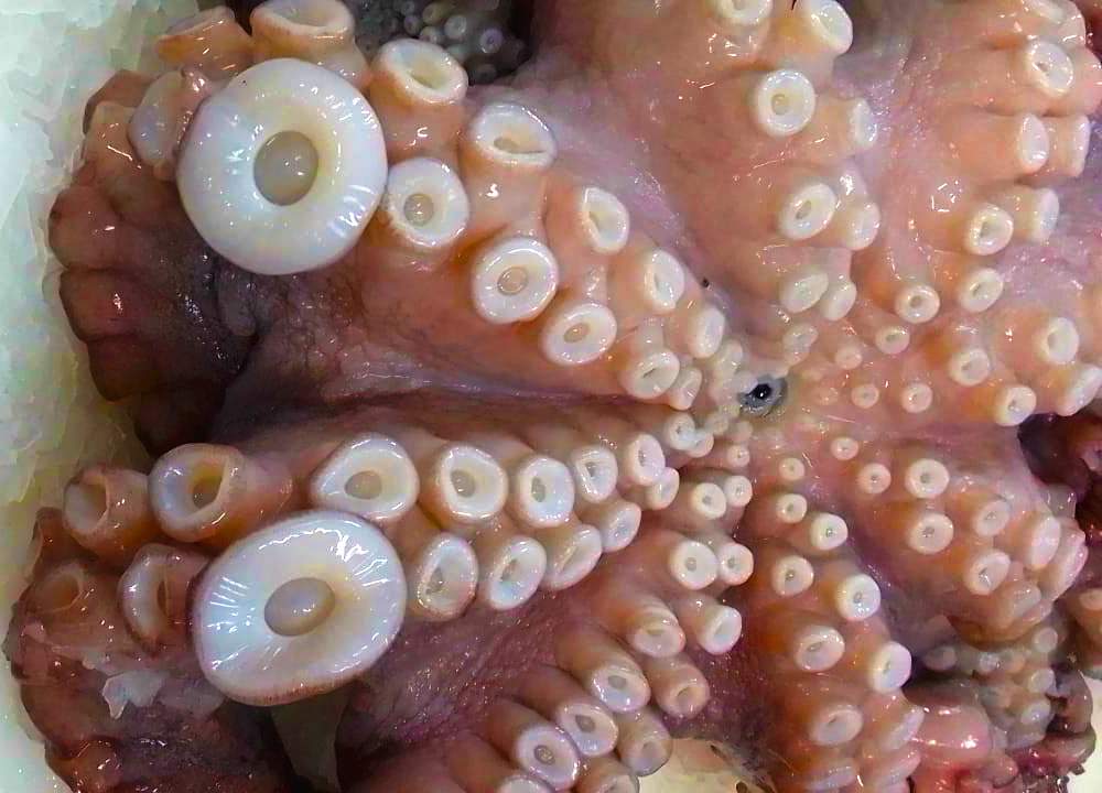SOME IDEAS FOR ENJOYING THESE SEAFOOD